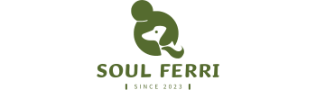 Soul Ferri